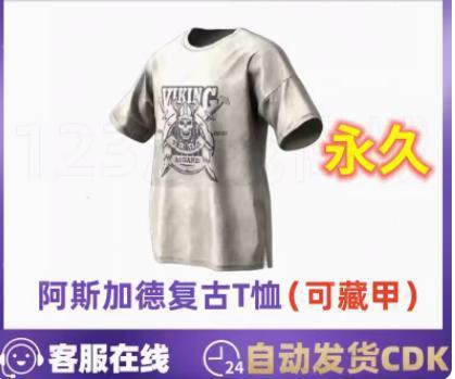 绝地求生（PUBG）【端游】阿斯加德复古白色T恤CDK兑换码
