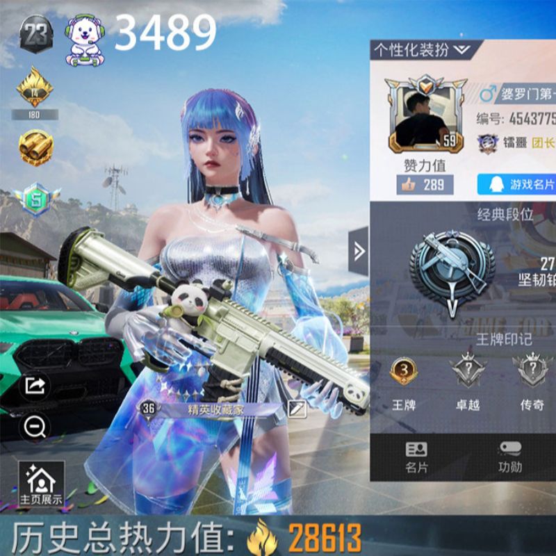 和平精英【安卓QQ】贵6王者绿宝马98k五级时空协奏蓝蚂蚱等