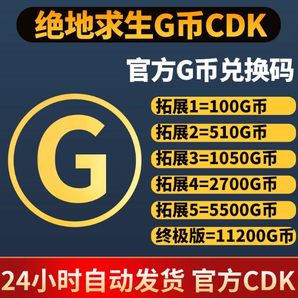 绝地求生（PUBG）【端游】1050G币 兑换码