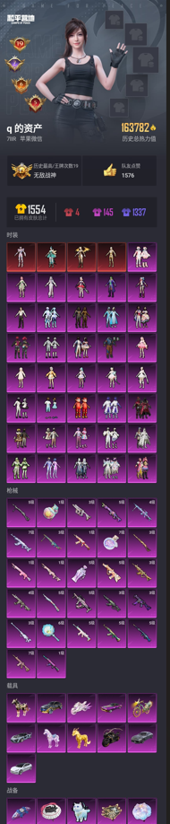 和平精英【苹果微信】4神装-36粉装-27特效枪-11载具-24粉色飞行器