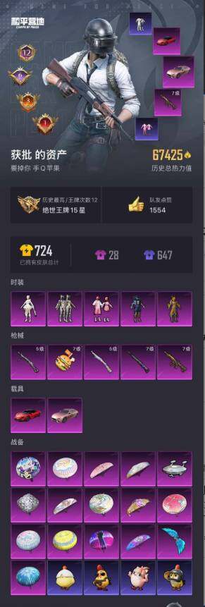 和平精英【苹果QQ】手Q--67425热力值-12王牌印记-143套装-198枪皮