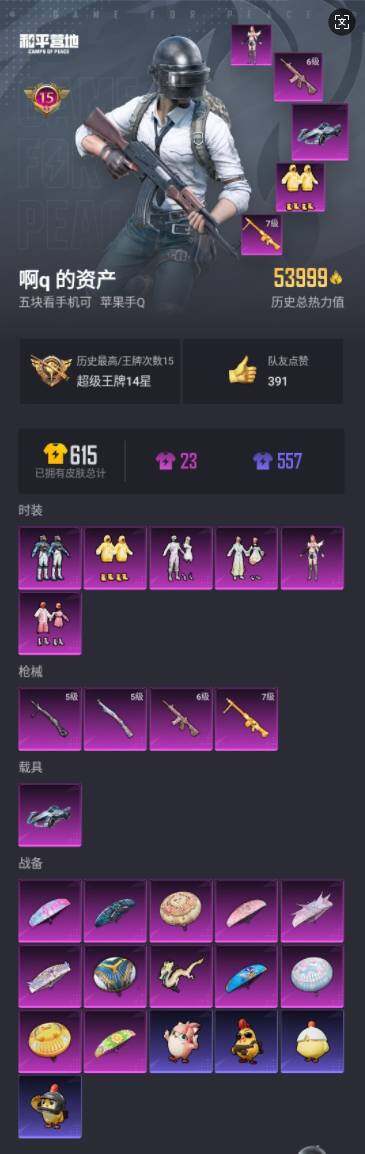 和平精英【苹果QQ】手Q-6粉装-4特效枪-1载具-1粉色飞行器-53999热力值-15王牌印记-139套装-160枪皮