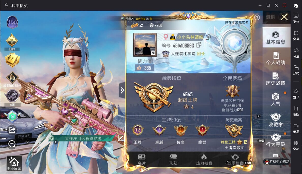 a3896/苹果QQ/-12王牌印记-7粉装-11特效枪-2载具-84973热力值-165套装-27