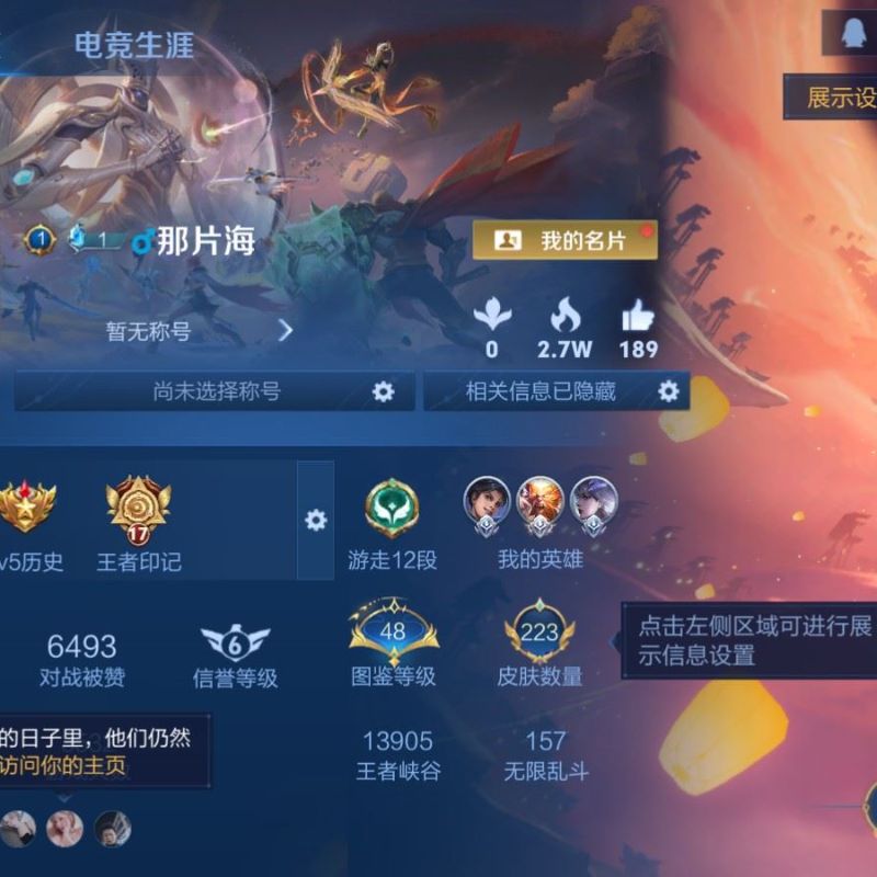 二四七五五九四_[王者荣耀【苹果版】]V81典藏10传说54史诗223皮肤至尊星耀V