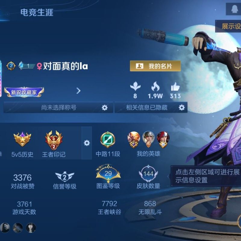 二四五零六九一_[王者荣耀]V74传说27史诗145皮肤永恒钻石V