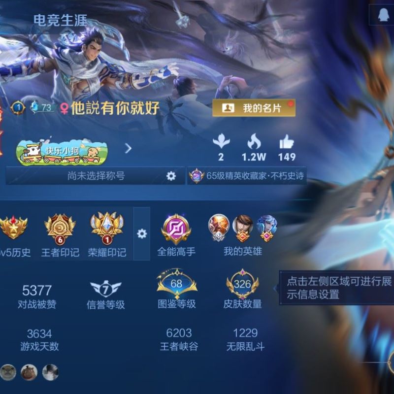 二五零零零二二_[王者荣耀]V81典藏1无双17传说92史诗326皮肤至尊星耀V