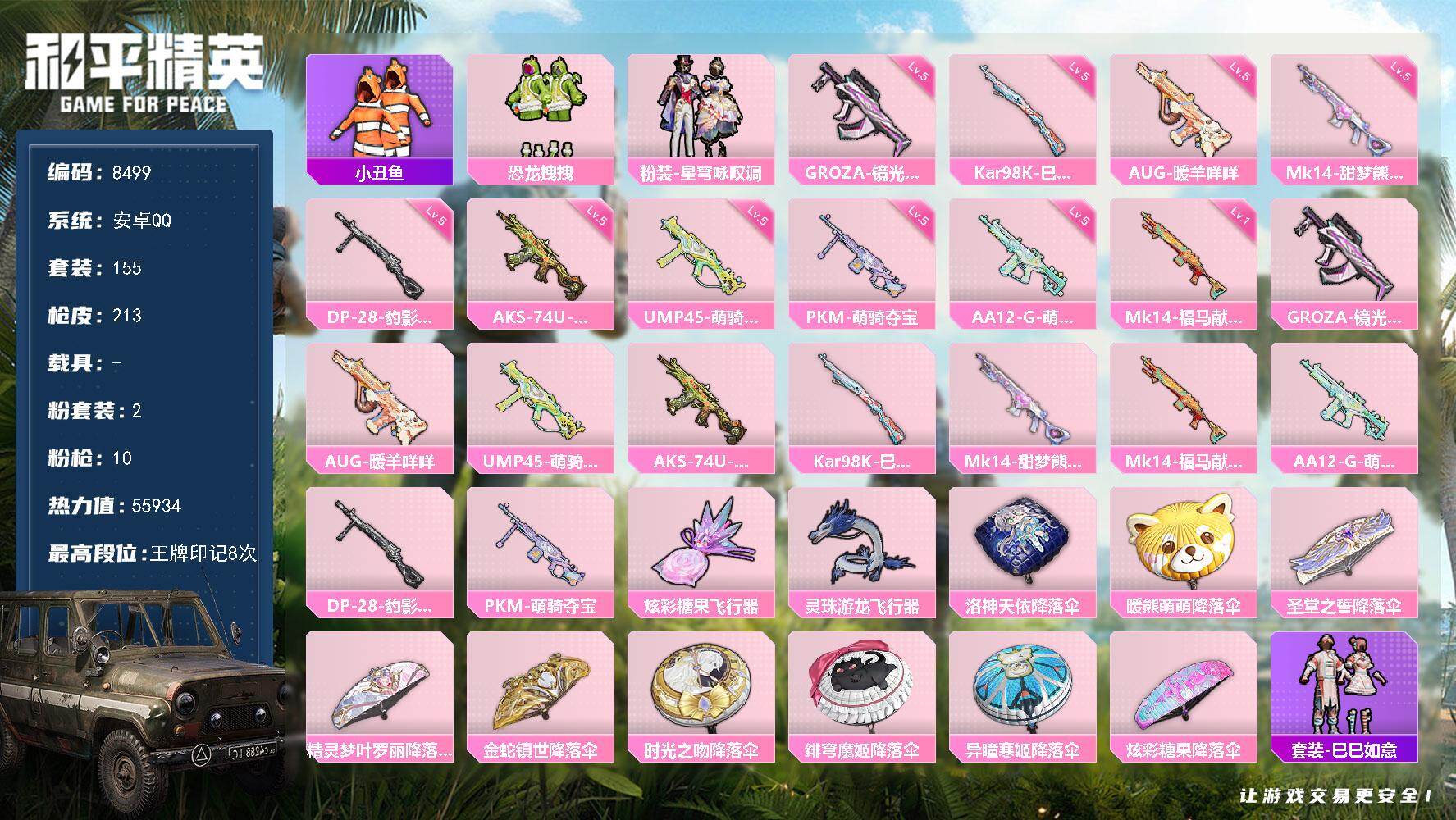 【8499】2粉装-10特效枪-0载具-2粉色飞行器-55934热力值-8王牌