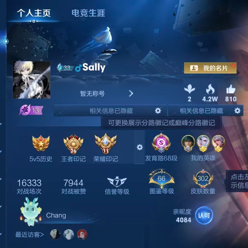 国标射手-百星发育路68段国服苍6传说神鉴启示录历史10省级金标2星元-射手国标A96