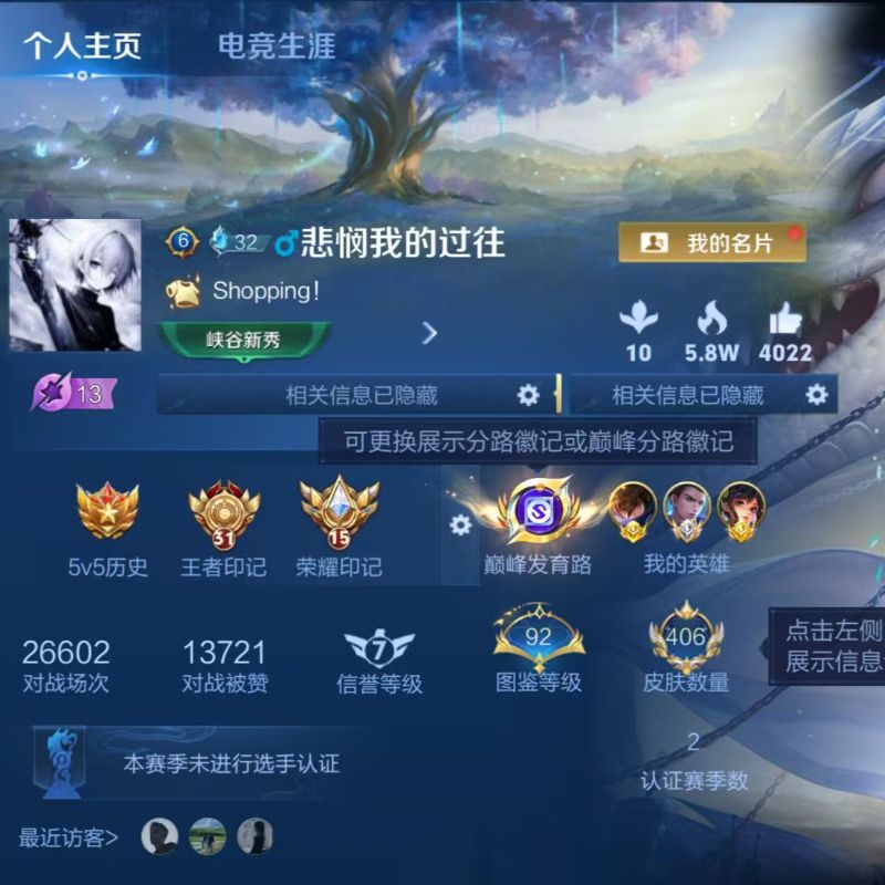 国标射手-百星发育路62段国服狄仁杰鸣剑曳影2珍传27传说历史10省级金标5星元-国标射手A110/有二次自己挂