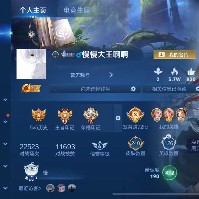 国标射手-百星发育路双国服艾琳鲁班七号8传说白虎志1星元历史23省级金标-射手国标A68/有二次自己挂