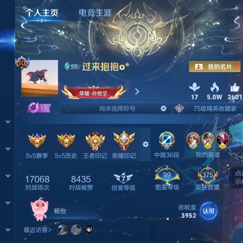 国标中路-v10中路36段国服米莱迪12水晶22传说历史10省级金标6星元-中路国标S13/有二次自己挂